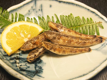 うつぼ煮こごり